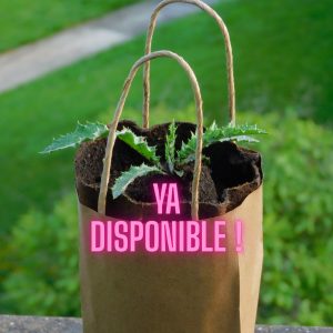 Planta de Eguzkilore 2026.. ¡ Ya disponibles !